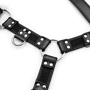 harness